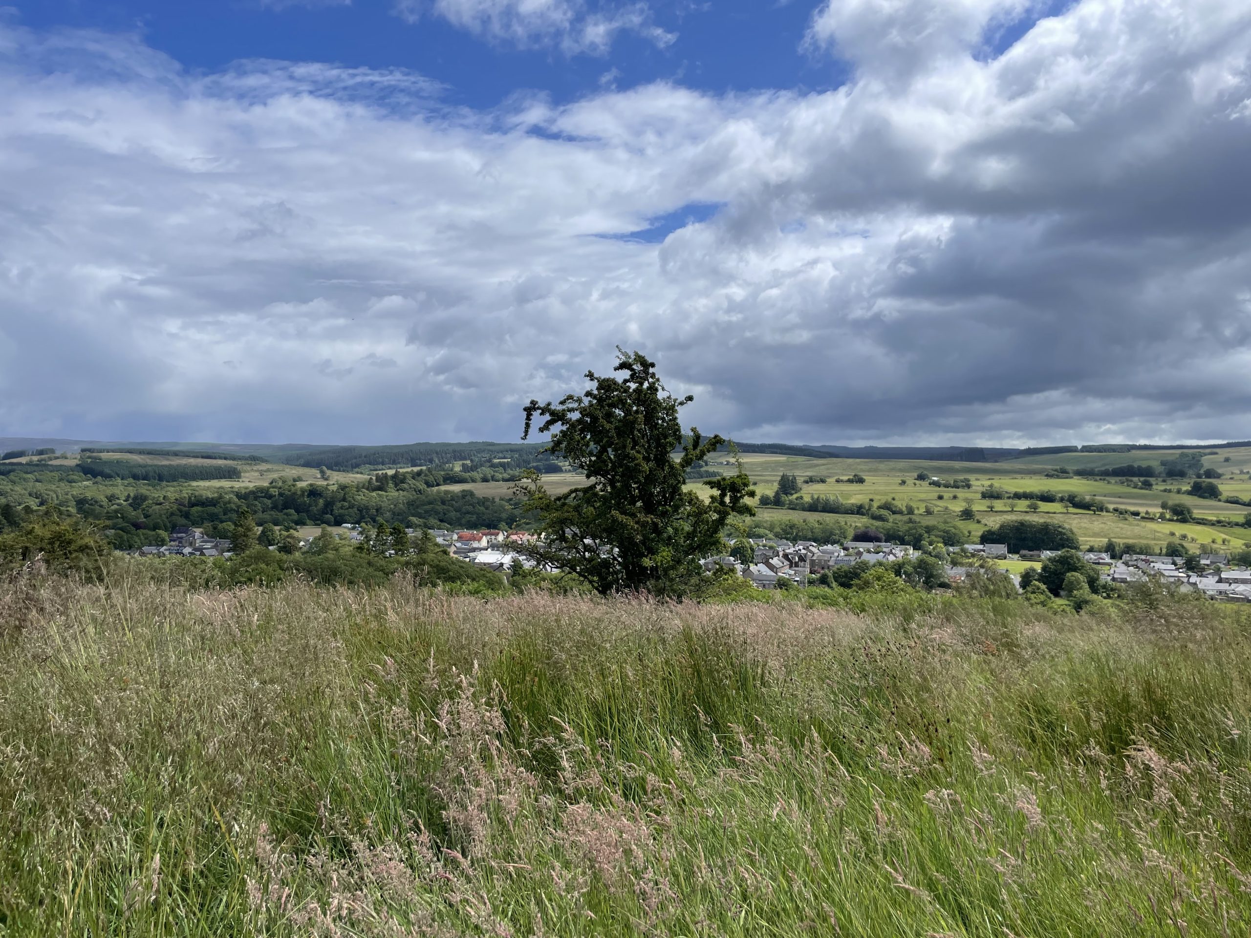 Photo over the valley, with overgrown fields and lack of paths connecting Newcastleton below