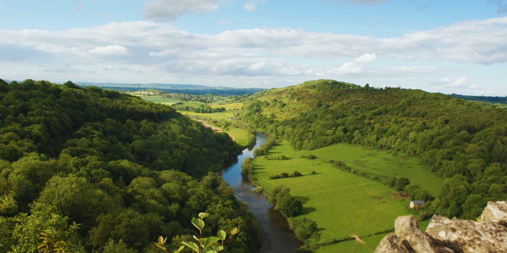 Forest of Dean, England