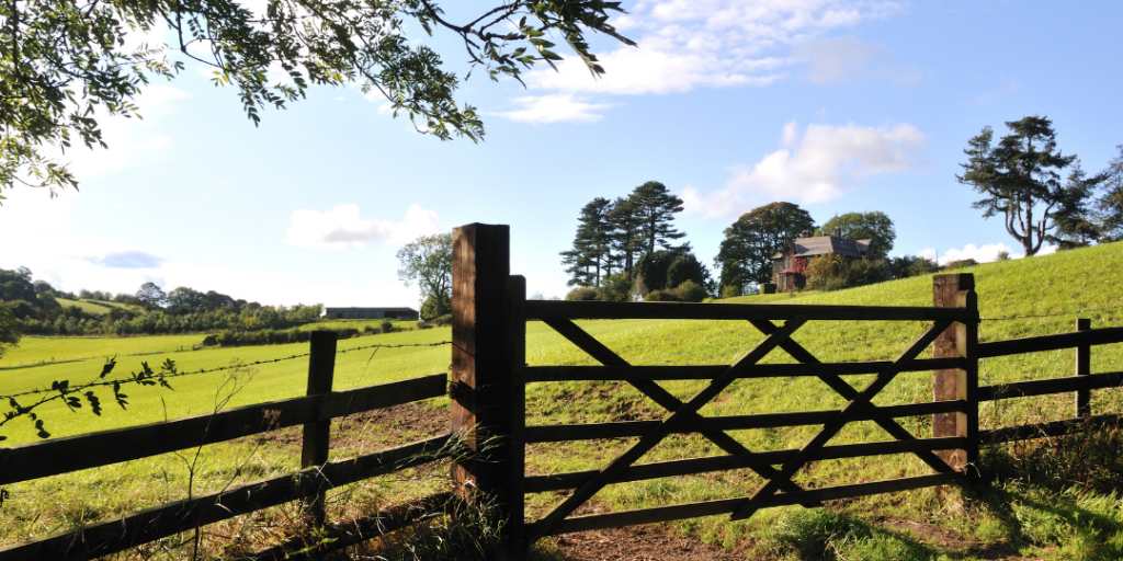 Wooden farm gate before green field