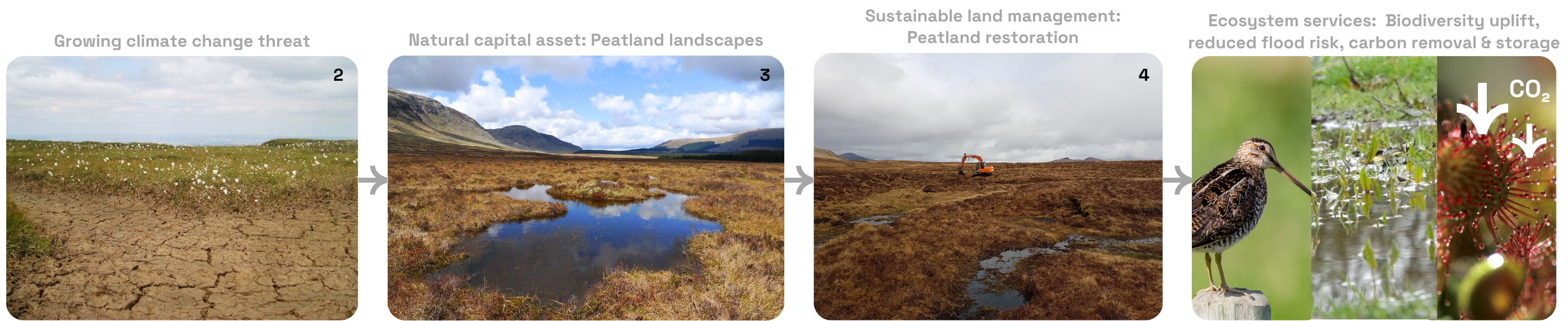 four images with captions of the following: 1. image of a dried peat bog, captioned 'Growing climate change threat: Hotter, drier summers' 2. Image of a healthy peatland landscape, captioned: 'Natural capital asset: Peatland landscapes' 3. image of peatland being restored, captioned: 'Sustainable land management: Peatland restoration' 4. images of a snip bird, flooded grass and sundew, captioned: 'Ecosystem services: Biodiversity uplift reduced flood risk, carbon removal & storage'