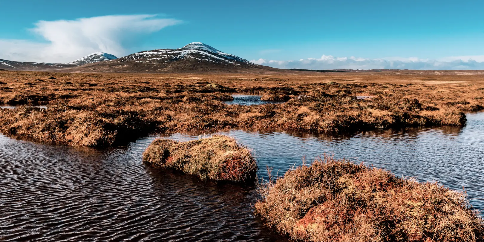 Peatland landscape Scotland